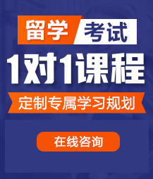 肉棒插逼视频留学考试一对一精品课